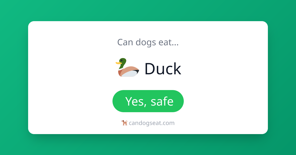 Can Dogs Eat Duck? Yes - Safe Food Guide | Can Dogs Eat